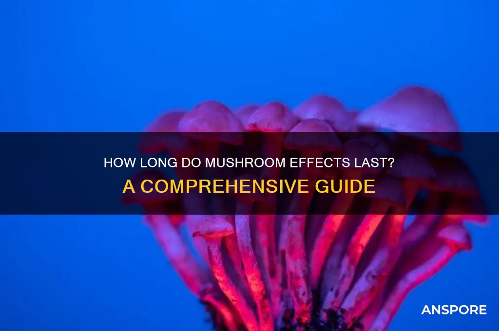 how long do mushrooms aggects you