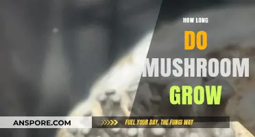 Understanding the Growth Cycle: How Long Do Mushrooms Take to Grow?