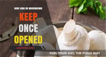 Opened Mushrooms: How Long Do They Stay Fresh and Safe?