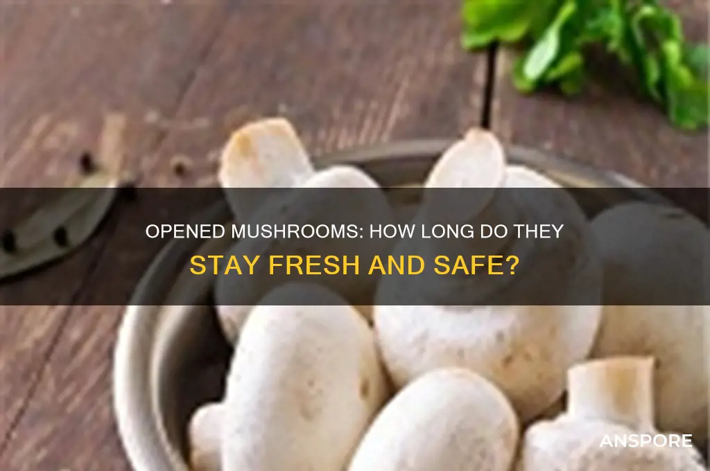 how long do mushrooms keep once opened