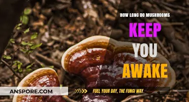 Mushrooms and Sleep: How Long Do They Keep You Awake?
