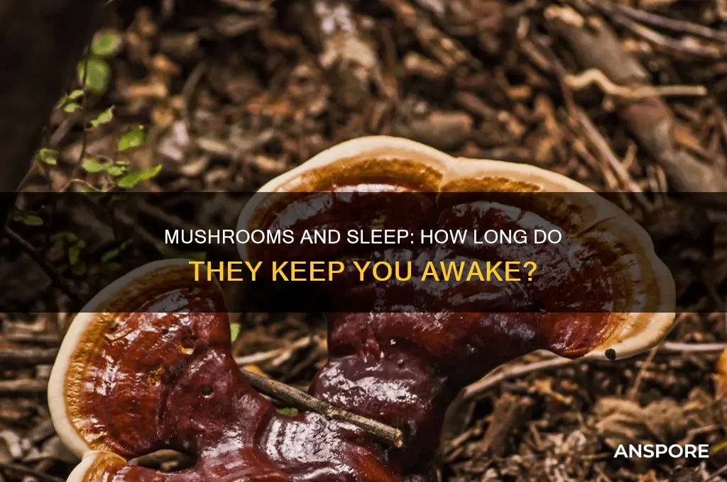 how long do mushrooms keep you awake
