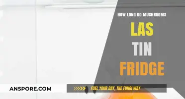 Freshness Guide: How Long Do Mushrooms Last in the Fridge?