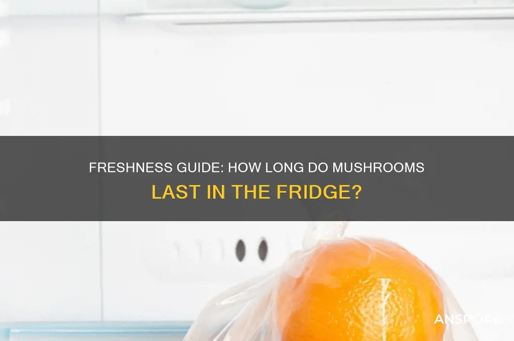 how long do mushrooms las tin fridge