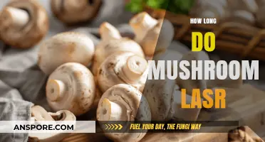 How Long Do Mushrooms Last: Storage Tips and Shelf Life Guide