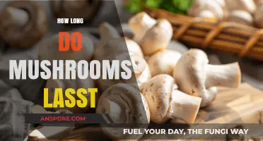 How Long Do Mushrooms Last: Storage Tips and Shelf Life Guide