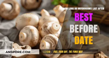 Mushrooms Past Best Before: Shelf Life and Safety Tips