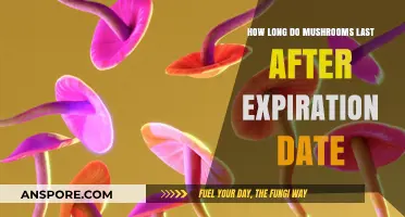 Mushrooms Past Expiration: Shelf Life and Safety Tips Explained
