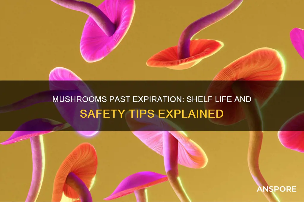 how long do mushrooms last after expiration date