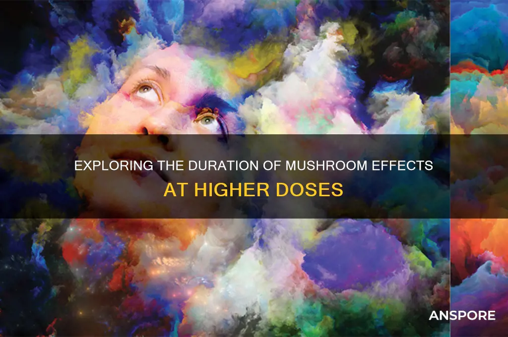 how long do mushrooms last at higher doses