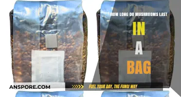 Maximizing Freshness: How Long Do Mushrooms Last in a Bag?
