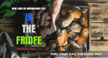 Maximizing Mushroom Freshness: How Long Do They Last in the Fridge?