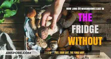 How Long Do Mushrooms Stay Fresh in the Fridge Without Spoiling?