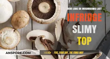 How Long Do Mushrooms Last in the Fridge with Slimy Tops?