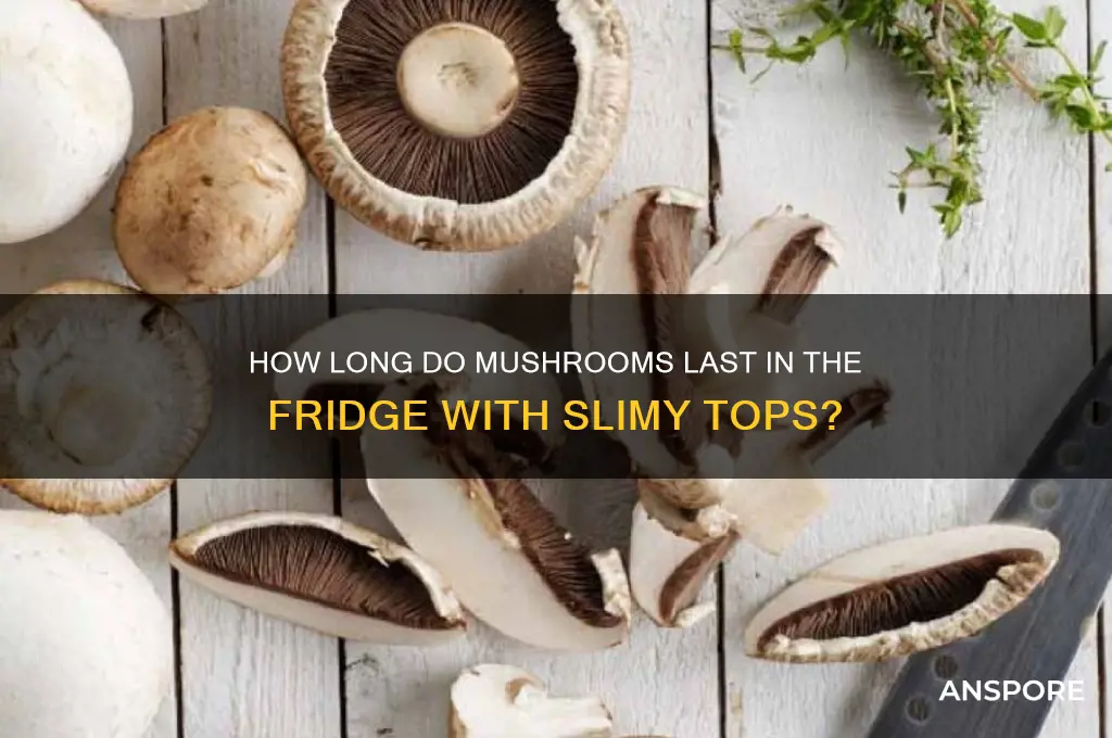 how long do mushrooms last infridge slimy top