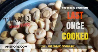 Cooked Mushrooms Shelf Life: How Long Do They Stay Fresh?