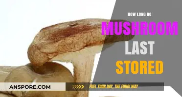 Maximizing Mushroom Freshness: Optimal Storage Tips and Shelf Life Guide