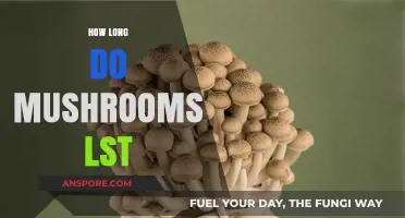 Shelf Life Secrets: How Long Do Mushrooms Last Fresh?
