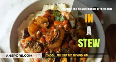 Perfectly Cooked Mushrooms: Timing Tips for Hearty Stews