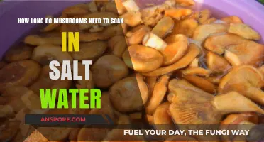 Soaking Mushrooms in Salt Water: Optimal Time for Perfect Texture