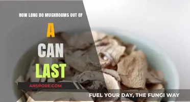 Canned Mushrooms Shelf Life: How Long Do They Stay Fresh?