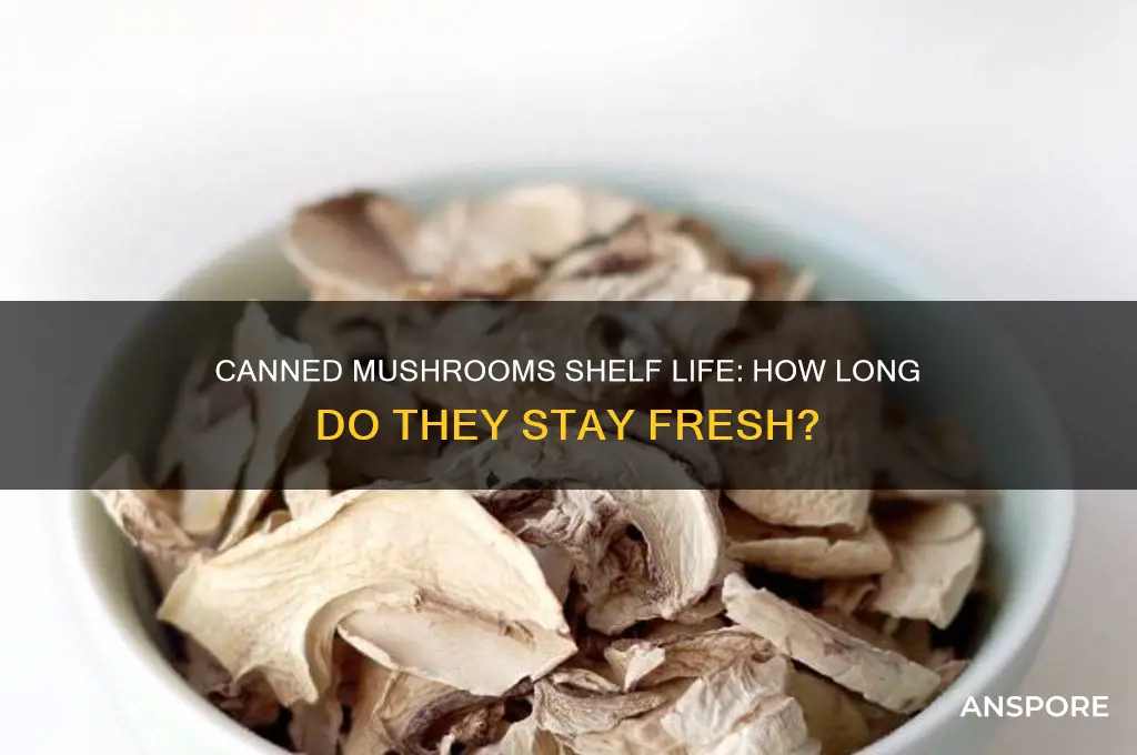 how long do mushrooms out of a can last