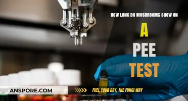 Detecting Mushrooms in Urine: How Long Do They Show Up?