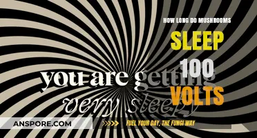 Mushroom Sleep Patterns: Unraveling the Mystery of 100 Volts