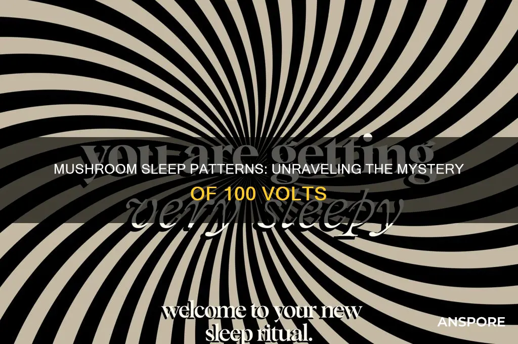 how long do mushrooms sleep 100 volts