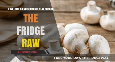Raw Mushrooms in the Fridge: Shelf Life and Storage Tips