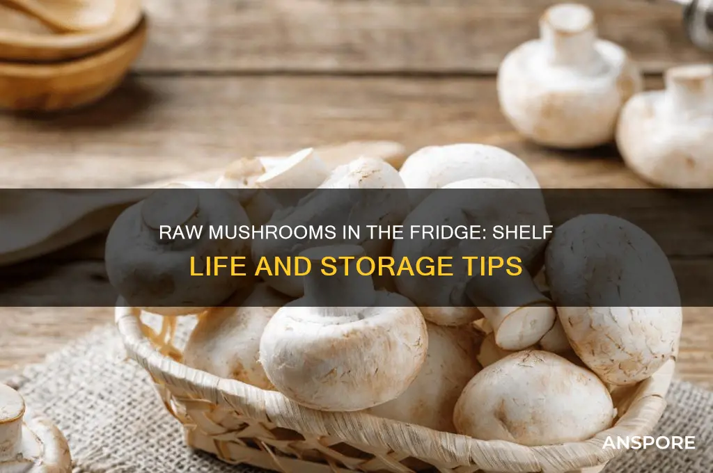 how long do mushrooms stay good in the fridge raw