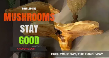 Shelf Life of Mushrooms: How Long Do They Stay Fresh?