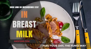 Mushrooms in Breast Milk: Duration and Safety Concerns Explained