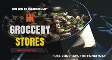 Shelf Life Secrets: How Long Do Mushrooms Last in Stores?