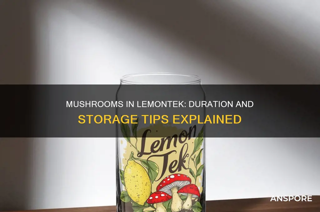 how long do mushrooms stay in lemontec