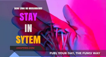 How Long Do Mushrooms Stay in Your System: A Comprehensive Guide