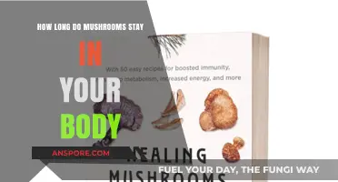 Mushroom Metabolism: How Long Do Mushrooms Stay in Your System?