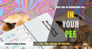 Detecting Mushrooms in Urine: How Long Do They Stay?