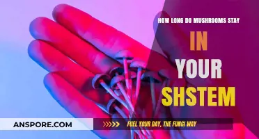 How Long Do Mushrooms Stay in Your System: A Comprehensive Guide