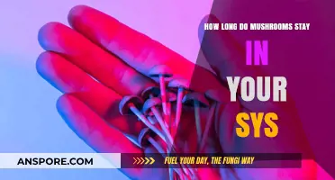 How Long Do Mushrooms Stay in Your System?