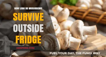 Mushroom Shelf Life: How Long Do They Last Outside the Fridge?