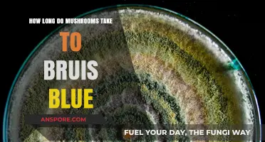 How Long Do Mushrooms Take to Bruise Blue: A Guide