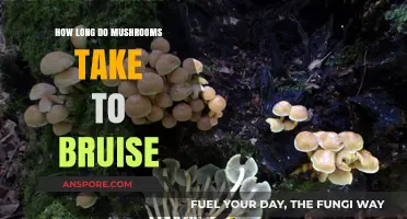 Understanding Mushroom Bruising: Timeframe and Factors Affecting Discoloration