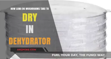 Drying Mushrooms in a Dehydrator: Optimal Time and Techniques