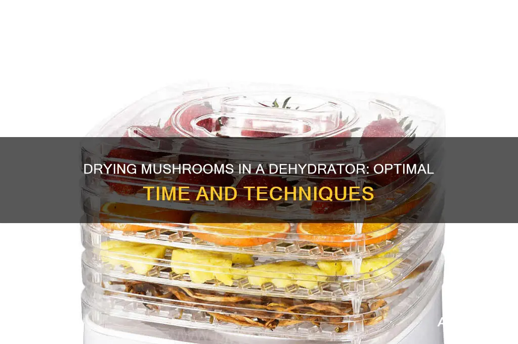 how long do mushrooms take to dry in dehydrator