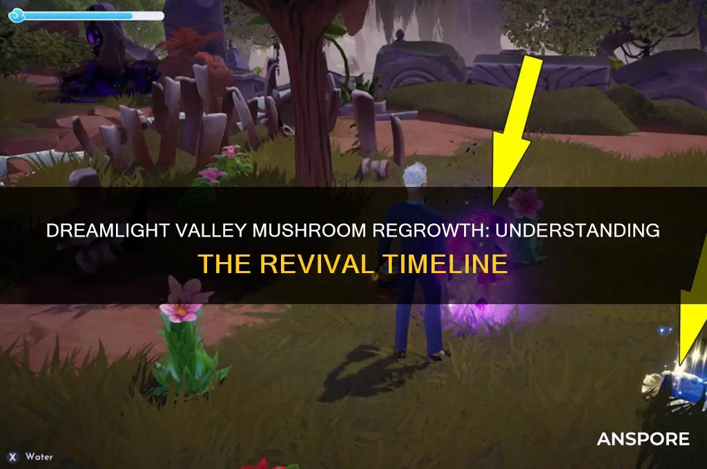 how long do mushrooms take to grow back dreamlight valley