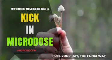 Microdosing Mushrooms: Understanding the Onset Time for Subtle Effects