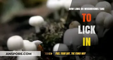 Understanding Mushroom Growth: Timeframe for Mushrooms to Fully Develop