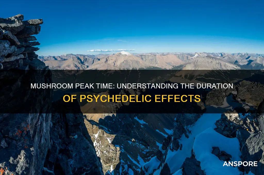 how long do mushrooms take to peak