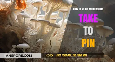 Mushroom Pinning Timeline: Factors Affecting Growth and Fruiting Stages